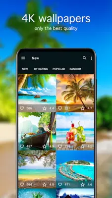 Summer Wallpapers 4K android App screenshot 4